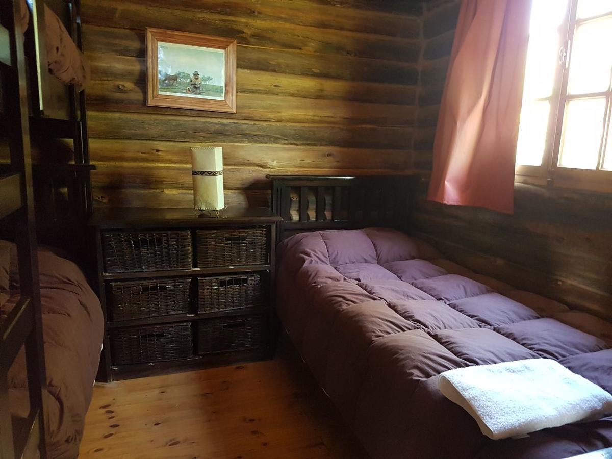 Posta Nehuen Cabanas Potrerillos Bagian luar foto
